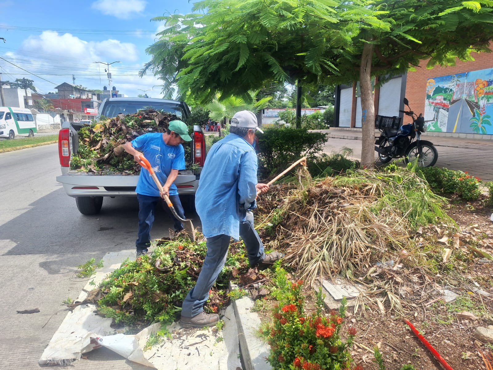 Imagen 2